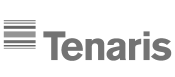 TenarisDalmine